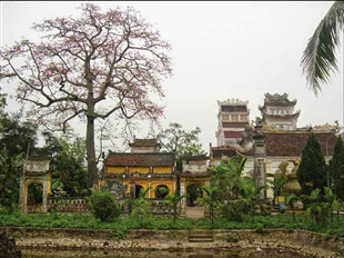 Đào Toàn Mân - Đại Sư Vô nhị